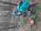 20241018_102647