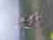 20250620_100820