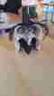 img-20250504-wa0000