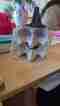 img-20250504-wa0001