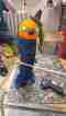 img-20250504-wa0002