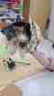 img-20250504-wa0005