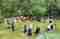 img-20250617-wa0013