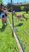 img-20250621-wa0001